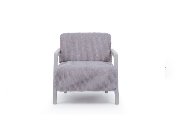 انتريه فيجن